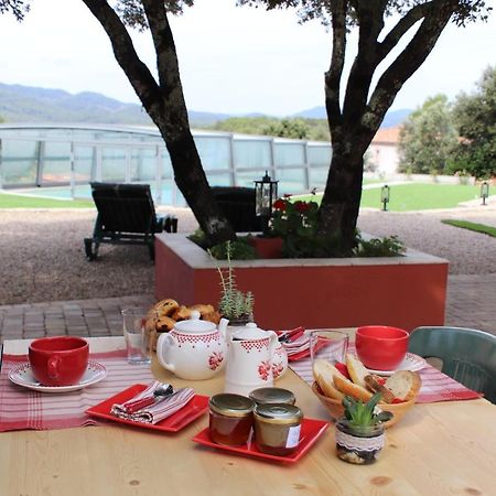 Bed and Breakfast La Bastide De Nini Carcès Zewnętrze zdjęcie